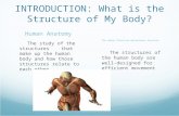 INTRODUCTION: What is the Structure of My Body? Human Anatomy The study of the structures that make up the human body and how those structures relate to.