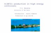 X(3872) production in high energy collisions University of São Paulo F.S. Navarra Introduction : exotic hadrons Production in pp and AA XIII International.