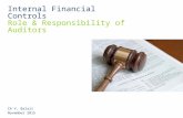 Internal Financial Controls Role & Responsibility of Auditors CA V. Balaji November 2015.