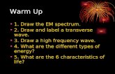 Warm Up 1. Draw the EM spectrum. 2. Draw and label a transverse wave. 3. Draw a high frequency wave. 4. What are the different types of energy? 5. What.