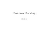 Molecular Bonding Unit 5. Ionic bonding Cations (usually metals) lose electrons to anions (monoatomic and polyatomic). Both cations and anions are stable.