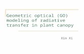 Geometric optical (GO) modeling of radiative transfer in plant canopy Xin Xi.