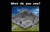 What do you see?. Do you see gray areas in between the squares? Now where did they come from?