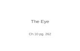 The Eye Ch.10 pg. 262. 10.9 Sense of Sight Eyelid: four layers: skin muscle, connective tissue, and conjuctiva. Thinnest skin of the body Orbicularis.