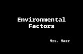 Environmental Factors Mrs. Marr. LIGHTNING SAFETY.