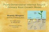 Three-Dimensional Internal Source Primary Root Growth Model Brandy Wiegers University of California, Davis Dr. Angela Cheer Dr. Wendy Silk Joint Mathematics.