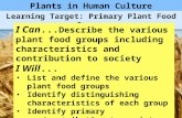 Plants in Human Culture Learning Target: Primary Plant Food Groups I Can... Describe the various plant food groups including characteristics and contribution.