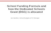 School Funding Formula and how the Dedicated Schools Grant (DSG) is allocated Ian Hamilton, School Budgets & PVI Manager.