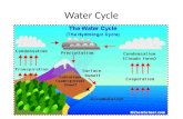 Water Cycle. Transpiration: Excess water is evaporated off the leaves of plants. Evaporation: Water in oceans, lakes, and ponds changes from liquid water.