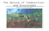 The Nature of Communities and Ecosystems. Stability A stable community or ecosystem is one that has the ability to replace itself – exist in place for.