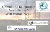 Committee to Promote New Mexico’s Wild Horse Parks May 04, 2010.