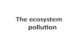 The ecosystem pollution. The pollution of ecosystem is divided into: 1- Air pollution 2- Aquatic pollution 3-Terrestrial pollution.