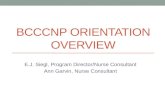 BCCCNP ORIENTATION OVERVIEW E.J. Siegl, Program Director/Nurse Consultant Ann Garvin, Nurse Consultant.