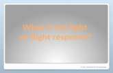 © 2015 DR JENNIFER CUNNINGHAM What is the fight or flight response?