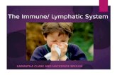 The Immune/ Lymphatic System SAMANTHA CLARK AND MACKENZIE BROUSE.