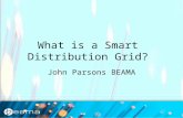 1 John Parsons BEAMA What is a Smart Distribution Grid?