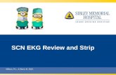 SCN EKG Review and Strip Milburn, R.L., & Stech, M. 2015.