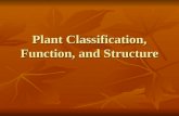Plant Classification, Function, and Structure. Introduction Plants are complex organisms that consist of tissues and cells Plants consist of leaves, stems,