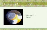 Lecture #13 Date ______ Chapter 31 ~ Fungi. Fungi Heterotrophic by absorption (exoenzymes) Decomposers (saprobes), parasites, mutualistic symbionts (lichens)