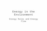 Energy in the Environment Energy Roles and Energy Flow.