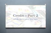 Credit – Part 2 Vocab, Bankruptcy and Laws. Credit Vocabulary.