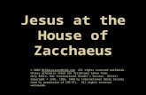 Jesus at the House of Zacchaeus © 2009 BibleLessons4Kidz.com All rights reserved worldwide. Unless otherwise noted the Scriptures taken from: Holy Bible,