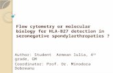 Flow cytometry or molecular biology for HLA-B27 detection in seronegative spondylarthropaties ? Author: Student Armean Iulia, 4 th grade, GM Coordinator:
