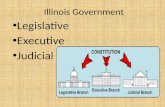 Illinois Government Legislative Executive Judicial.