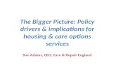 The Bigger Picture: Policy drivers & implications for housing & care options services Sue Adams, CEO, Care & Repair England.