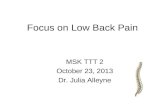 Focus on Low Back Pain MSK TTT 2 October 23, 2013 Dr. Julia Alleyne.