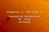 Chapter 1, Section 3 Theoretical Perspectives Mr. Young Sociology.