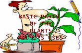BASIC PARTS OF THE PLANTS AND ITS USES. Unit Summary –Plants are alive, just like people and animals. They grow and die, need energy, nutrients, air,