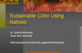 Sustainable Color Using Natives Dr. Cynthia McKenney Texas Tech University .