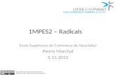1MPES2 – Radicals Ecole Supérieure de Commerce de Neuchâtel Pierre Marchal 5.11.2015  Attribute to: Tyler Wallace.