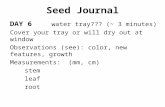 Seed Journal DAY 6 water tray??? (~ 3 minutes) Cover your tray or will dry out at window Observations (see): color, new features, growth Measurements: