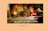 Chapters 7-9 Because of Winn-Dixie. irritating irritating- causing annoyance, impatience, or mild anger “Gertrude!” somebody screamed in a real irritating.