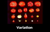 Variation. Types of variation Variation means differences between species (remember dichotomous key) or differences within a species Types of variation:
