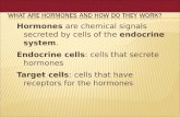 Hormones are chemical signals secreted by cells of the endocrine system. Endocrine cells: cells that secrete hormones Target cells: cells that have receptors.
