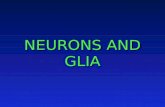 NEURONS AND GLIA. Introduction “Neurophilosophy” Brain (neurons) is the origin of mental abilities Glia and Neurons Glia Insulates, supports, and nourishes.