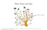 The Tree of Life 3B/cbi- lap7.cbi.cr.usgs.gov%3B7097/publishedcontent/publish/ecological_issues/genetic_biodiversity/phylogenetic_trees_intro/tree.gif.