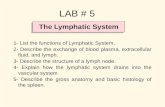 The Lymphatic System LAB # 5 1- List the functions of Lymphatic System. 2- Describe the exchange of blood plasma, extracellular fluid, and lymph. 3- Describe.