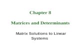Chapter 8 Matrices and Determinants Matrix Solutions to Linear Systems.