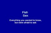 Fish Sex Everything you wanted to know, but were afraid to ask.