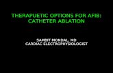 THERAPUETIC OPTIONS FOR AFIB: CATHETER ABLATION SAMBIT MONDAL, MD CARDIAC ELECTROPHYSIOLOGIST.