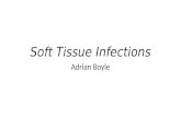 Soft Tissue Infections Adrian Boyle. Overview Cellulitis Necrotising Fasciitis Skin Abscess.