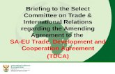 Briefing to the Select Committee on Trade & International Relations regarding the Amending Agreement to the SA-EU Trade, Development and Cooperation Agreement.