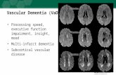 Vascular Dementia (VaD) Processing speed, executive function impairment, insight, mood Multi-infarct dementia Subcortical vascular disease.