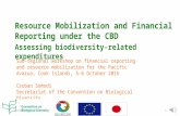 Resource Mobilization and Financial Reporting under the CBD Assessing biodiversity-related expenditures Sub-regional workshop on financial reporting and.