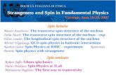 Strangeness and Spin in Fundamental Physics Mauro Anselmino: The transverse spin structure of the nucleon Delia Hasch: The transverse spin structure of.