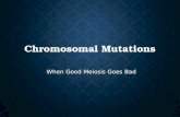 Chromosomal Mutations When Good Meiosis Goes Bad.